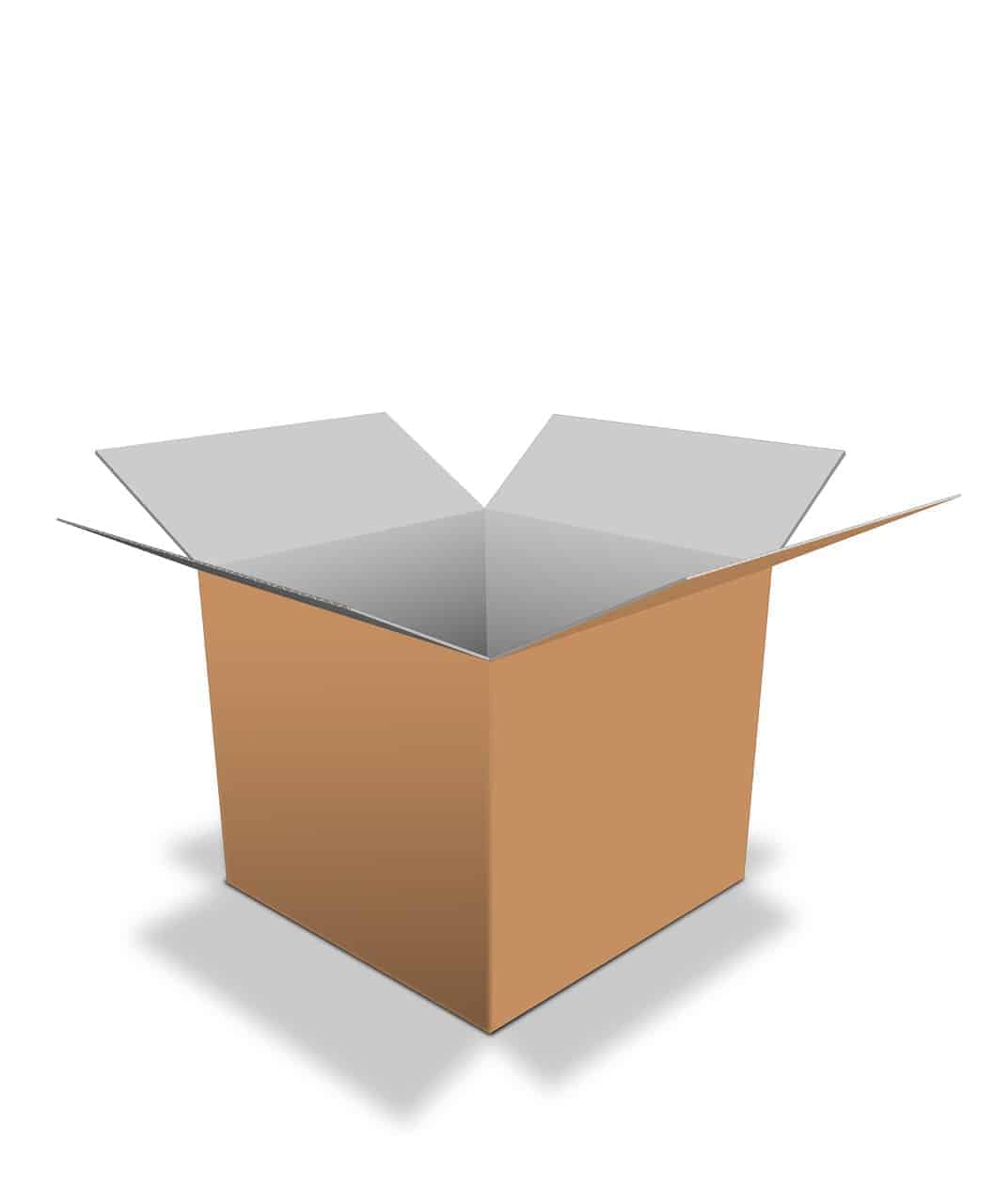 Plain cardboard box